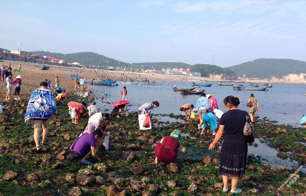 赶海的游客们