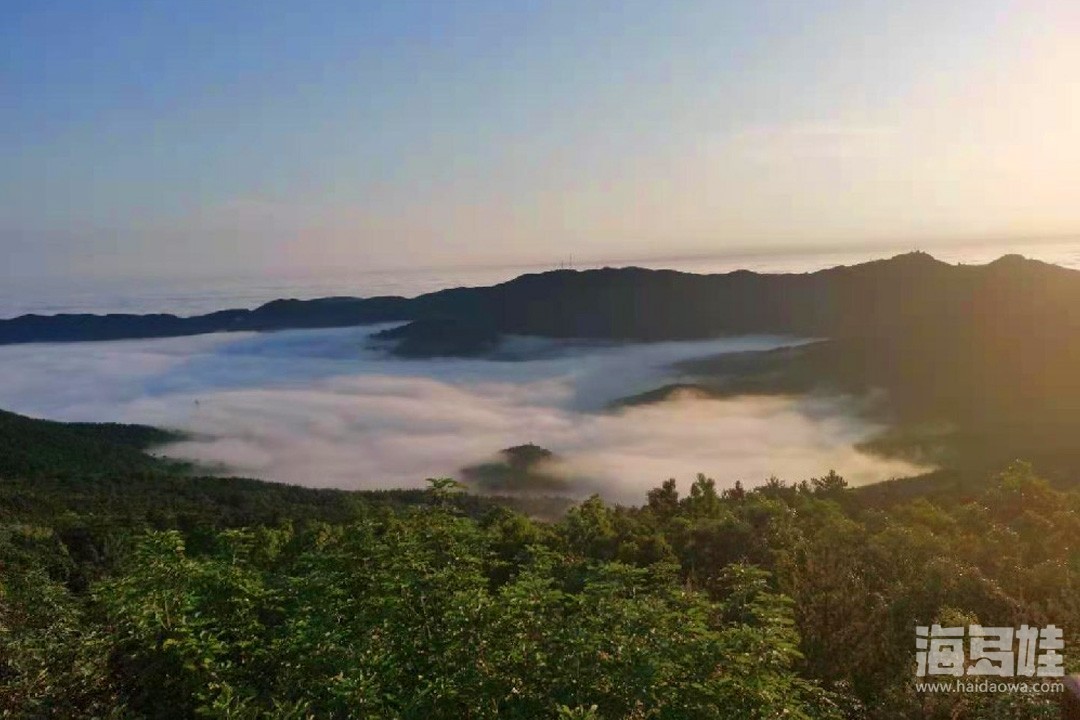 海洋岛史诗级平流雾