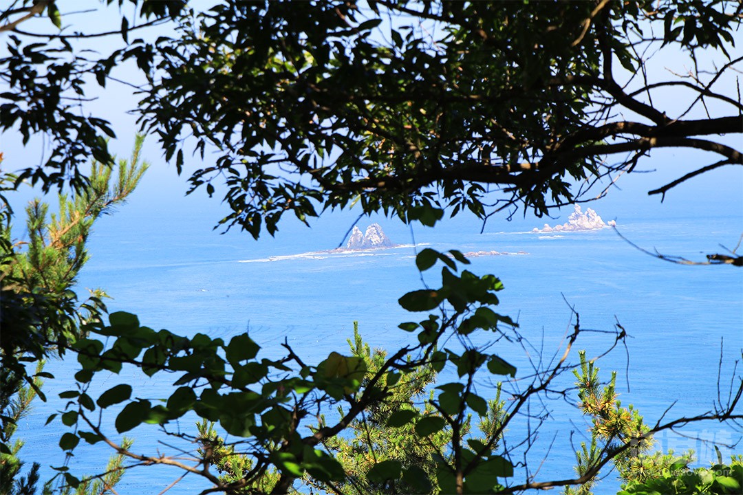 海王九岛生态公园